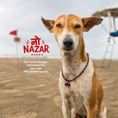 Pawsport